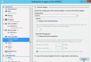 V2P Remove Virtual Adapter