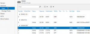 Server Manager Disks Page