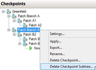 Checkpoint: Delete Active Tree