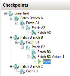 Checkpoint Example