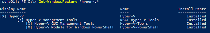 Server Hyper-V Features