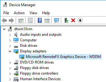 RemoteFX Adapter in Device Manager