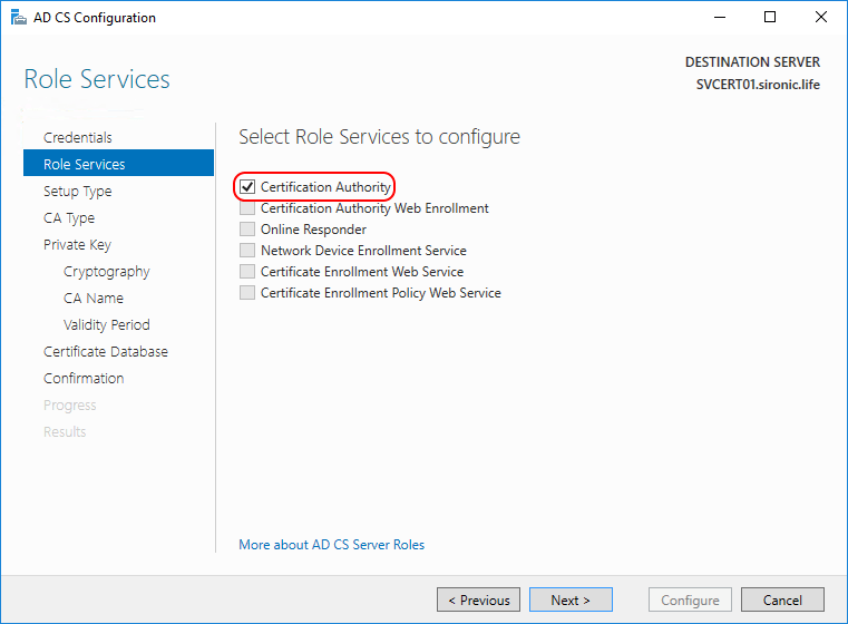 role services AD CS configuration