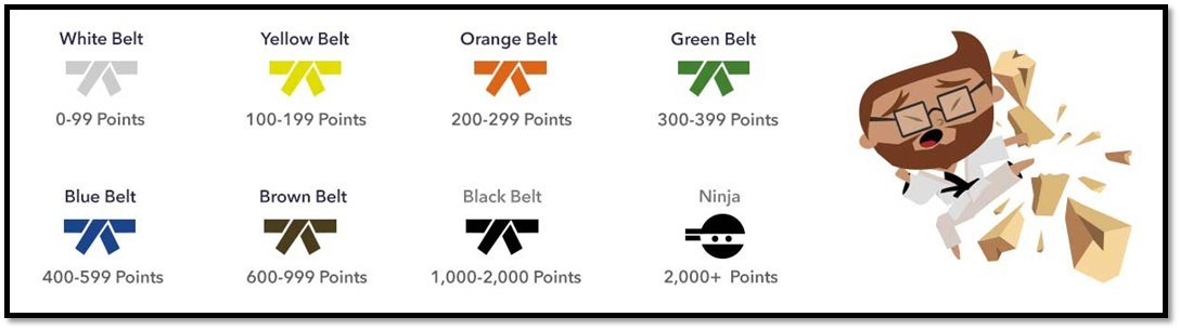 Dojo Forum belts