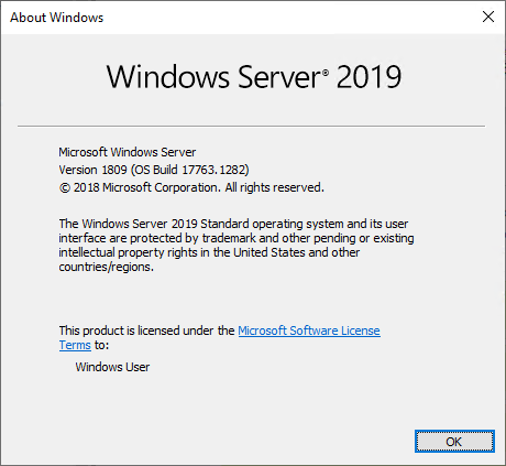 Windows Server 2019 Standard Edition