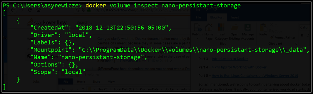 Docker persistent storage