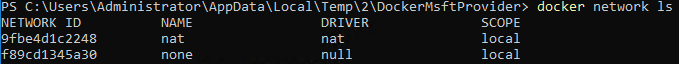 DHCP Address to a Docker Container on Windows Server 2019