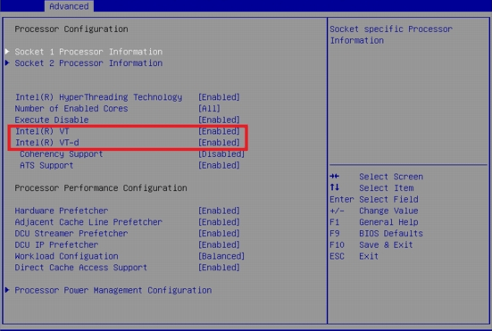 Figure 3 - Enabling advanced CPU virtualization features