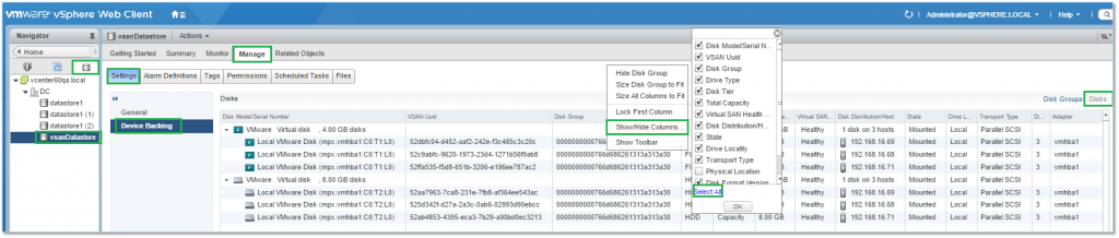 Figure 5 - vSphere Web Client - Device Backing details