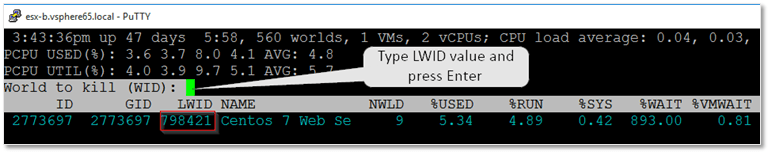 Using the LWID value to terminate a VM