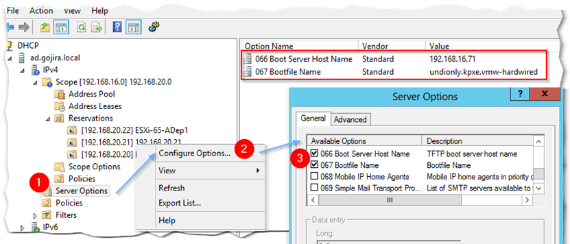 Figure 6 - Adding DHCP server options 066 and 067