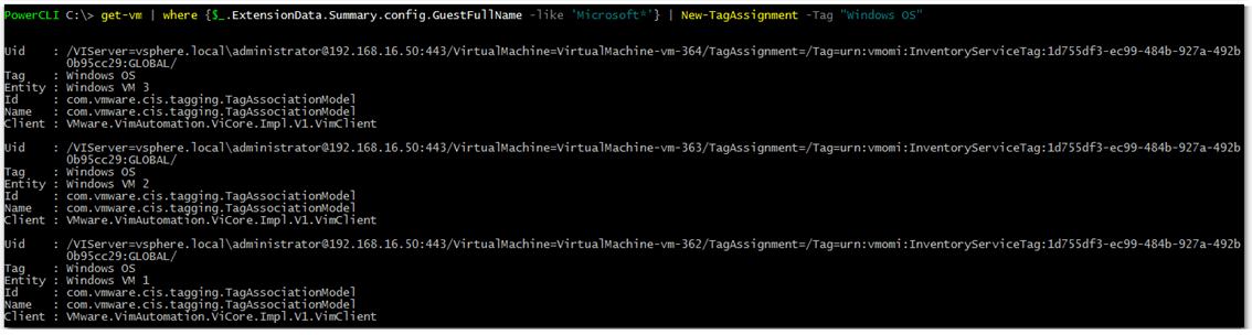 Figure 12 - Tagging multiple VMs running the same operating system