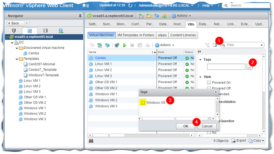 Figure 4 - Using tags with Quick Filter