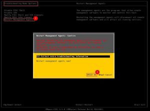 Figure 1 - Restarting the ESXi management agents from the DCUI