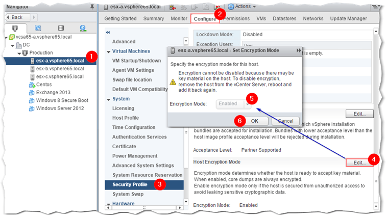 Figure 14 - Manually enabling Encryption Mode on ESXi 6.5