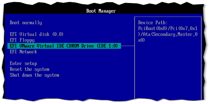 Accessing the VM's EFI boot manager options