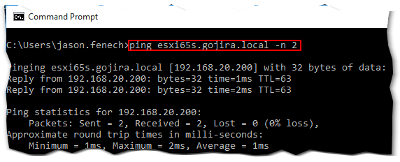 Successfully pinging a host's DNS address implies correct DNS resolution and unhindered network access assuming there are no acls dropping icmp traffic