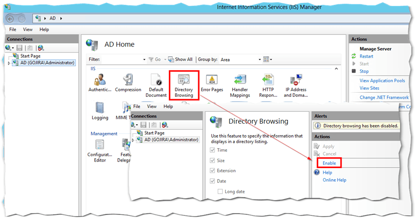 Enabling directory browsing on IIS