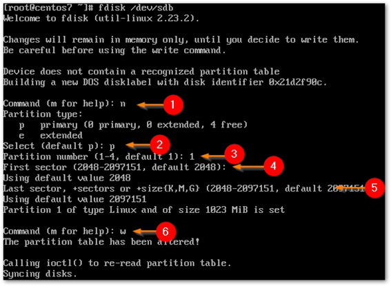 Running the fdisk command on Linux