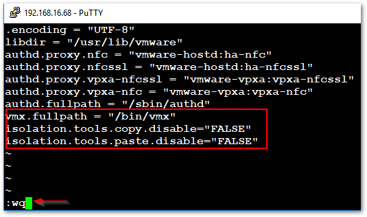 Adding the paste and copy settings to the ESXi config file