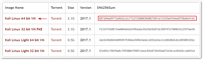 Kali Linux images distributed as virtual machines