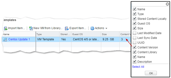 Template content versioning in vSphere 6.5