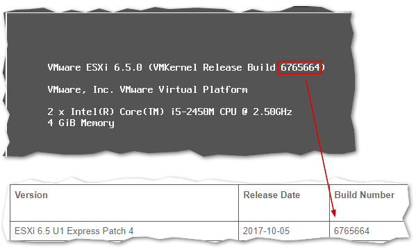 Checking an ESXi's host build number 