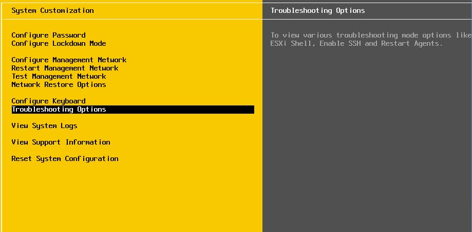 Troubleshooting Options ESXi