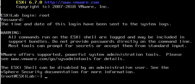 ESXi console