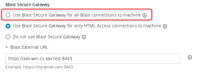 Connection Servers in Tunnelling mode