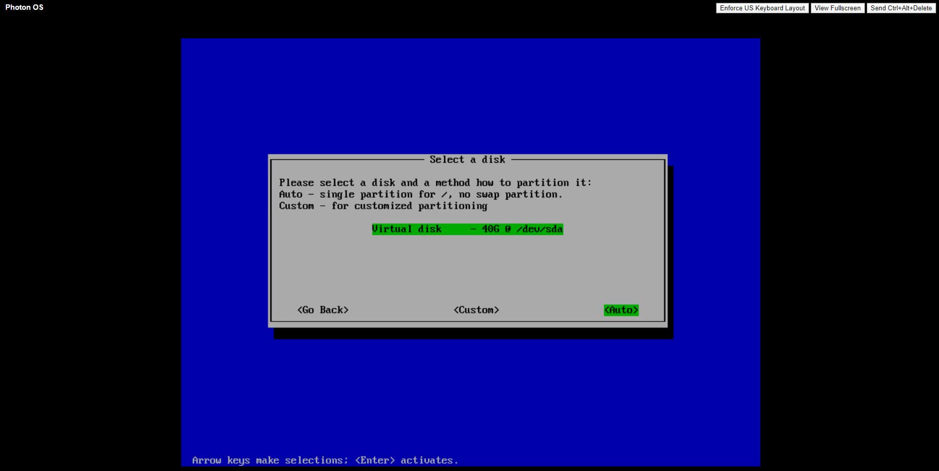 Installing Photon OS, Auto Partition