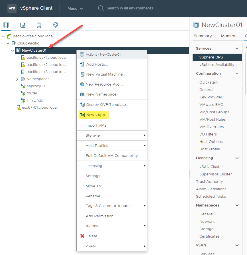 Creating a new vApp using the vSphere Client