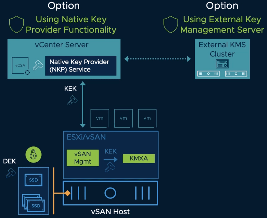 vSan Host Options